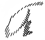 以 150 dpi 扫描的字母